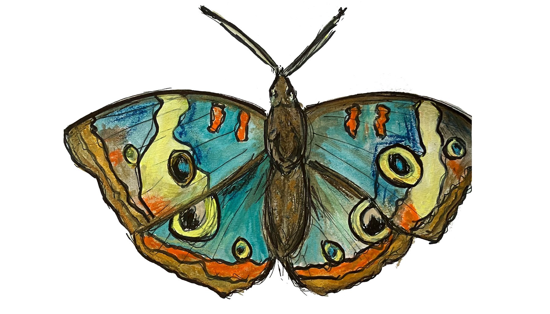 Original painting of a buckeye butterfly in teal, ochre and orange by Molly Magdalain